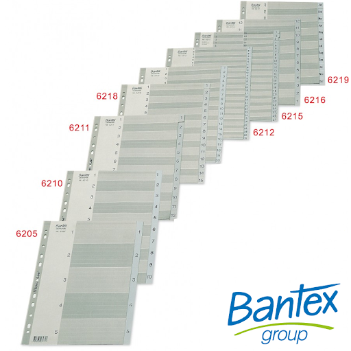BANTEX 6205 A4 (1-5) 膠質 INDEX DIVIDER